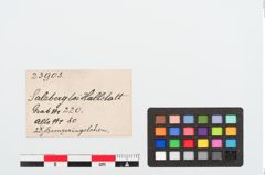 Etiketten zu Bronzeringe (NHMW-PRAE-023903)